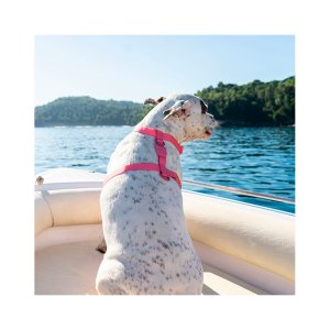 Peitoral H Zee.Dog Neopro Bubblegum Rosa para Cães